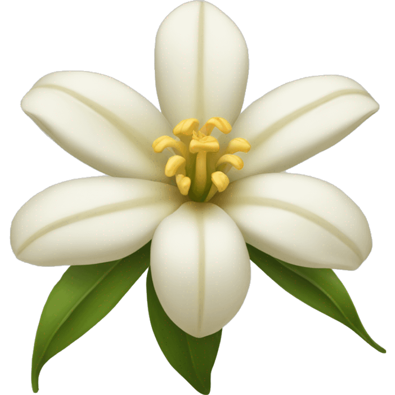 vanilla flower emoji