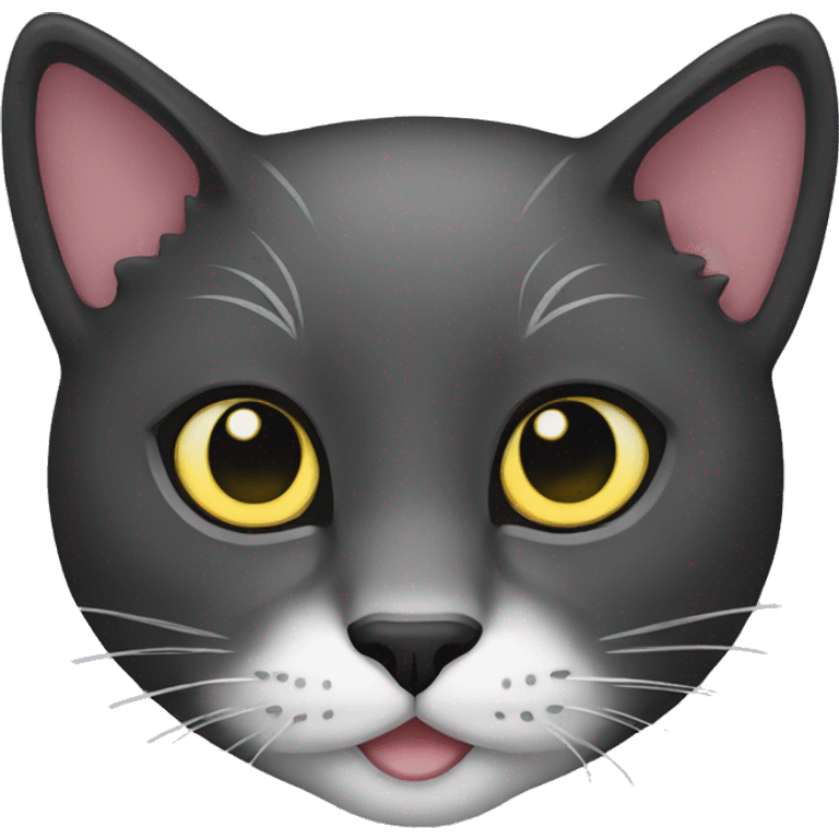 Night colored cat emoji