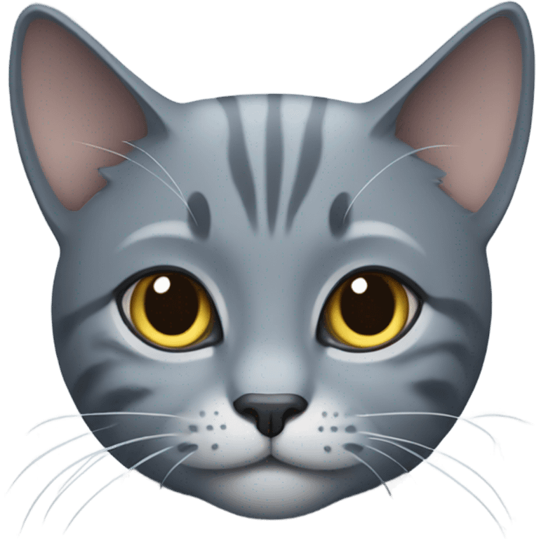 Grey cat (russian and bluemix)  emoji