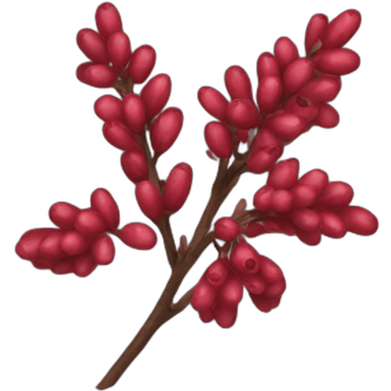 Barberry  emoji