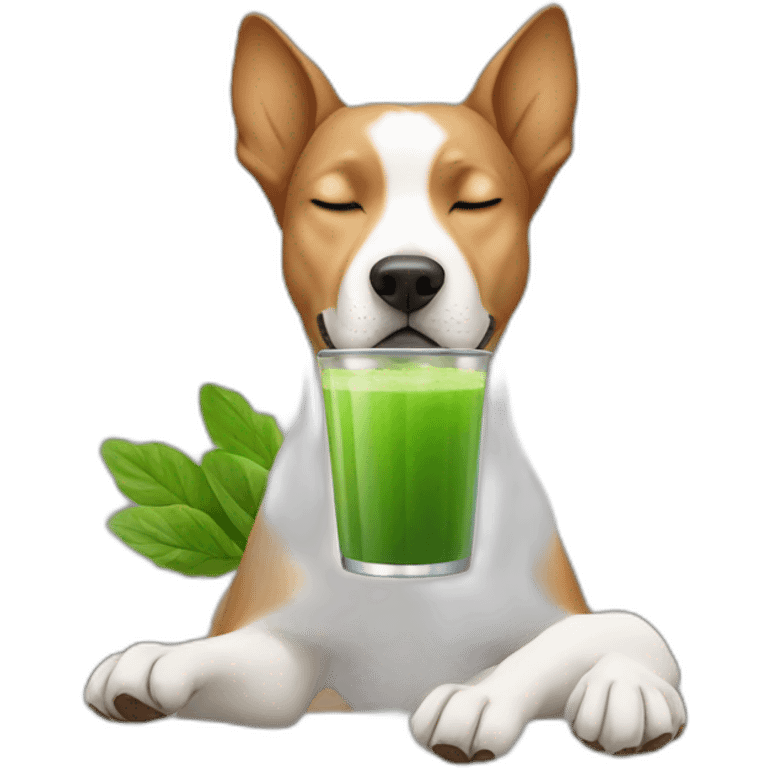 meditating dog drinking green juice with eyes closed emoji