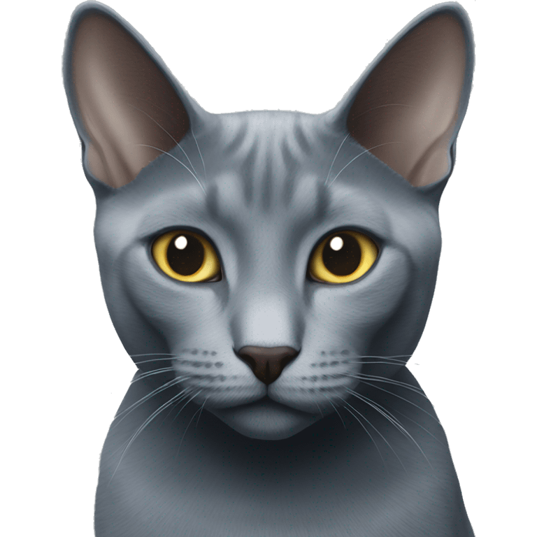 two Russian blue cats emoji