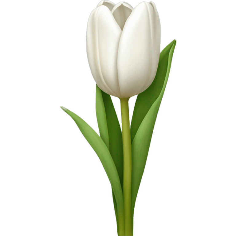 white tulip bouquet  emoji