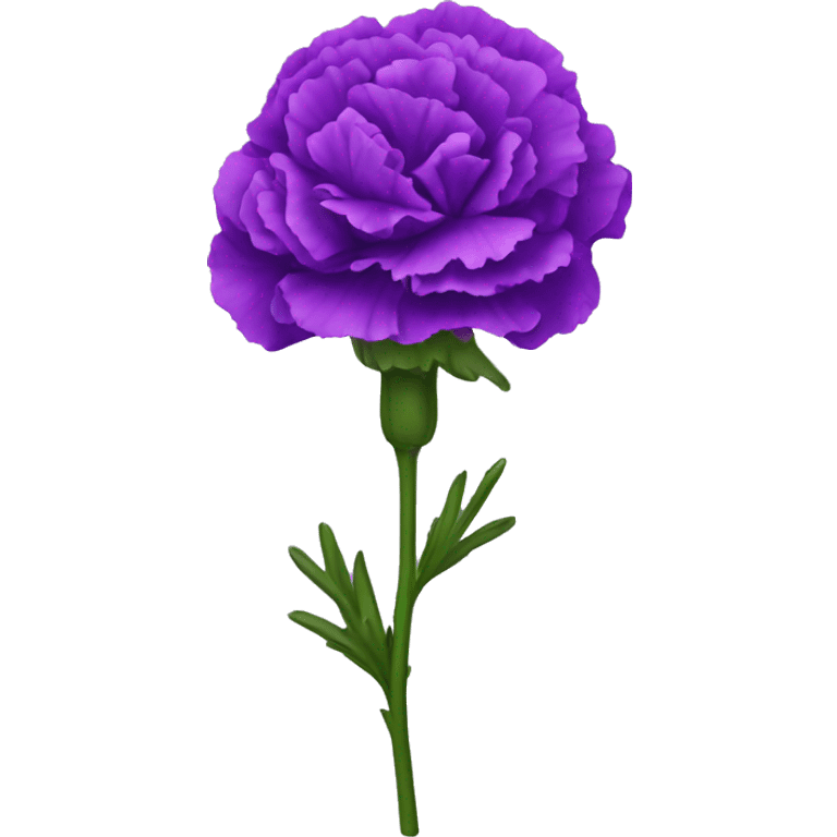 Purple carnation  emoji