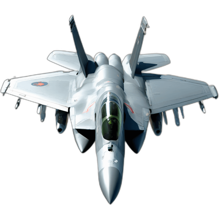 F-14 Tomcat emoji