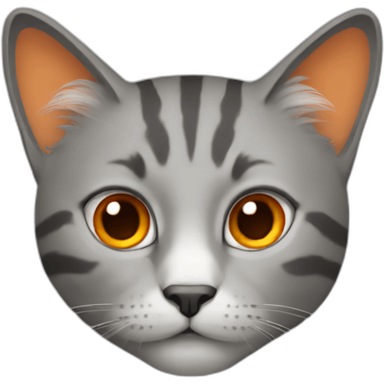 cat grey and orange emoji