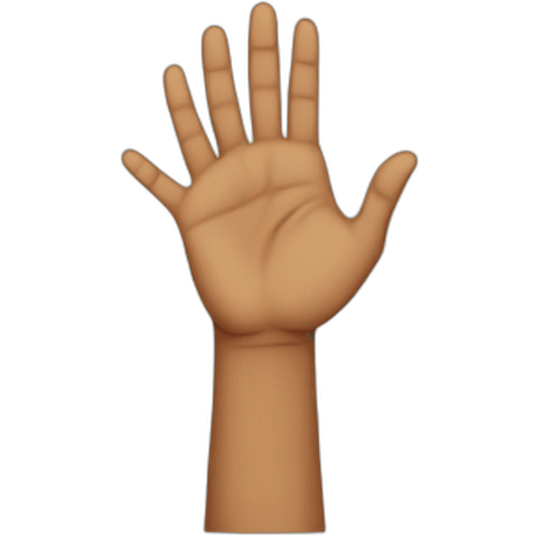 Hindu boy hand join  emoji