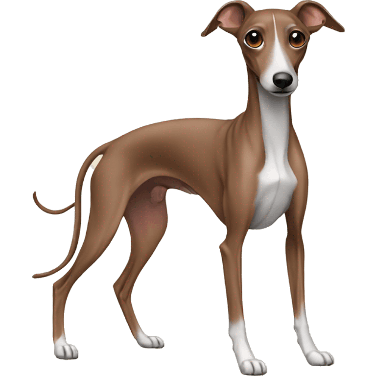 Brown Italian greyhound emoji