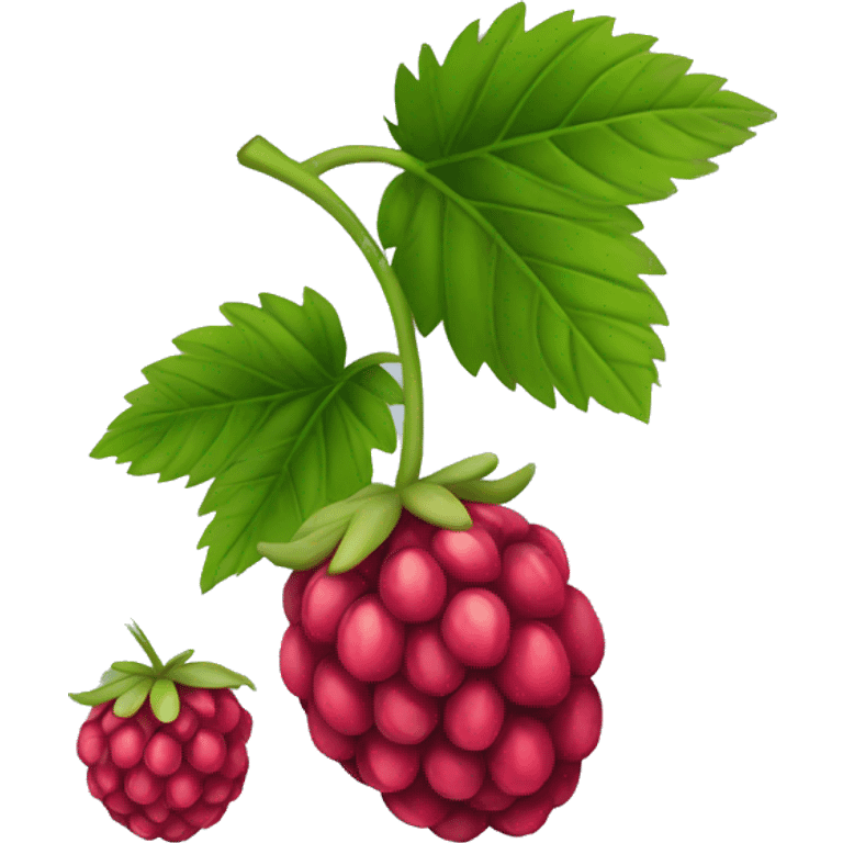 Raspberry emoji