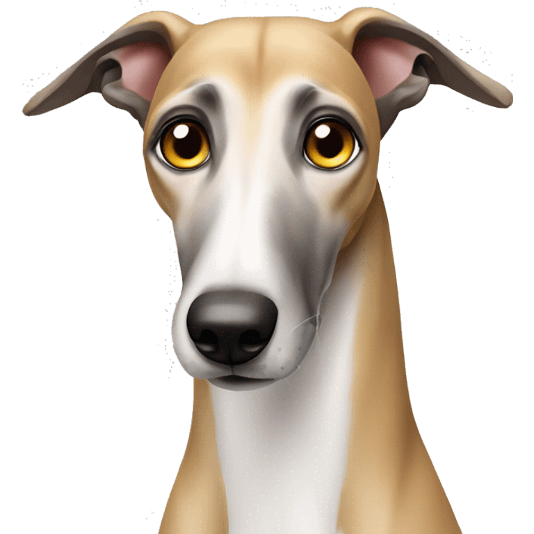 Russian greyhound dog with a very long nose emoji