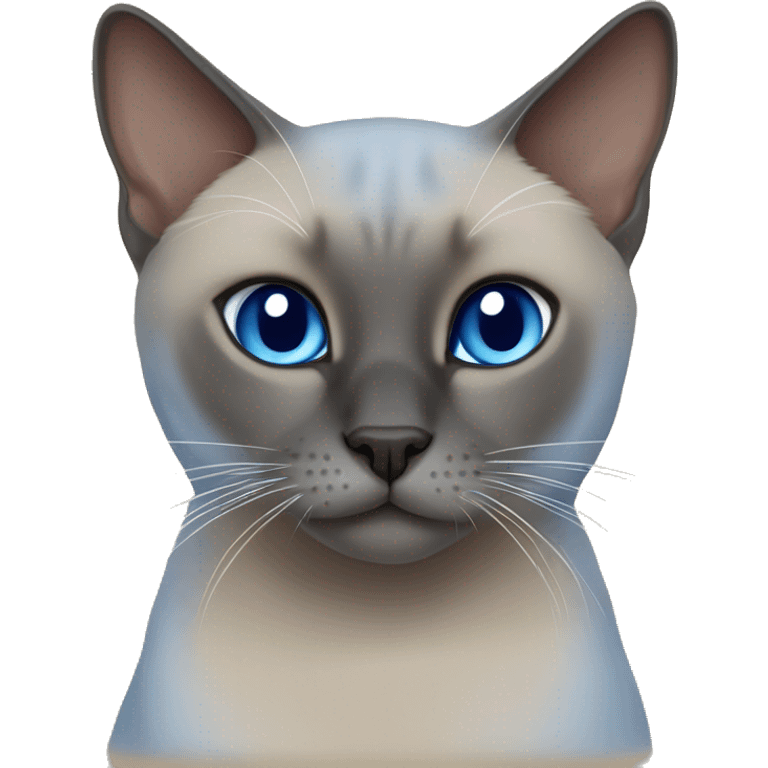 Blue mink tonkinese cat emoji