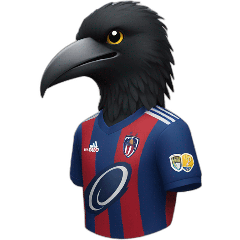 a crow with a san lorenzo soccer shirt emoji