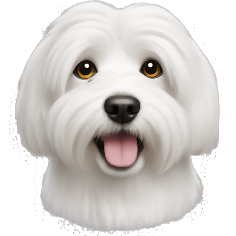 A cotton de tulear dog (this is a breed) emoji