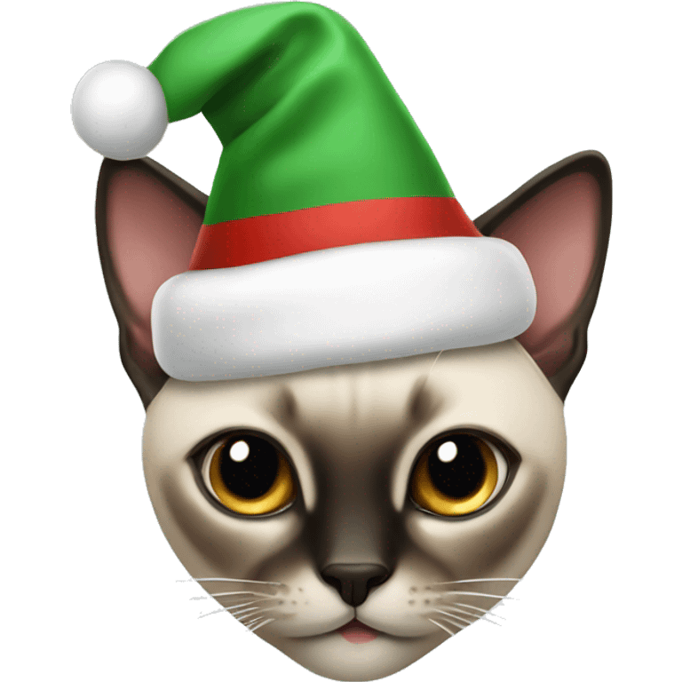 Siamese cat with Christmas hat on emoji