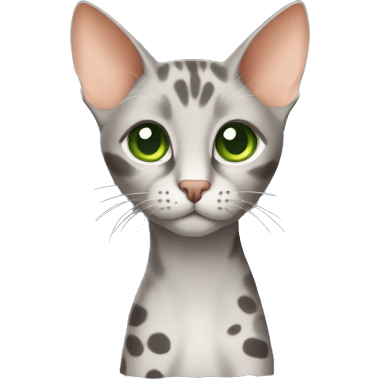 Short-haired oriental cat ,full body , grey coat with spots , green eyes , terracotta nuzzle emoji