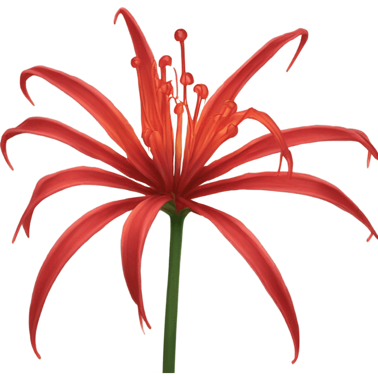 Glowing Red Spider Lily emoji