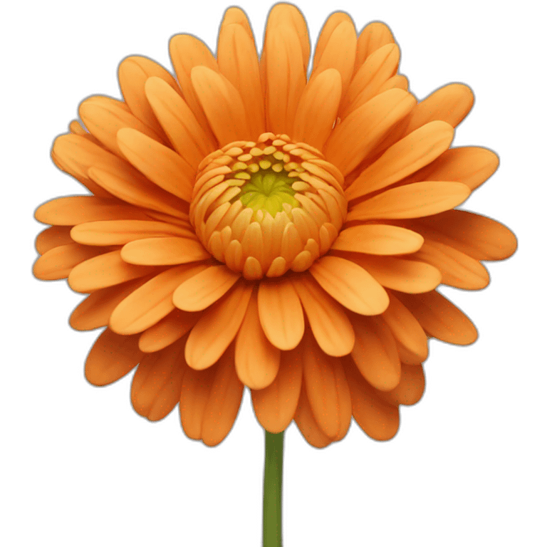 chrysanthemum orange color emoji