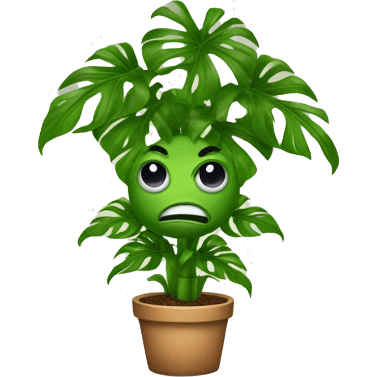 A  Monsterra plant with a face emoji