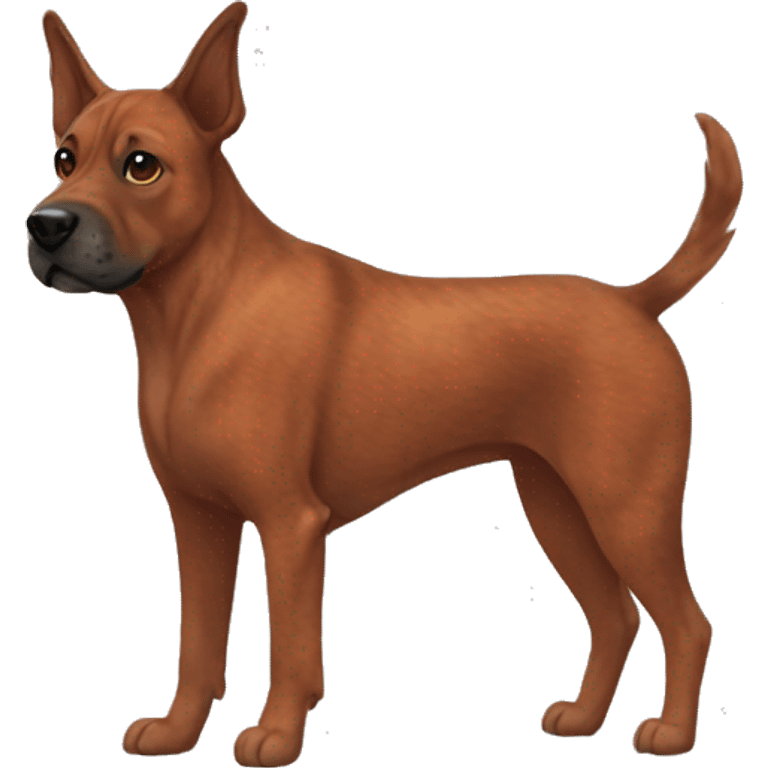 Red Brindle dog with brindle fur fuzzy pointed ears  emoji