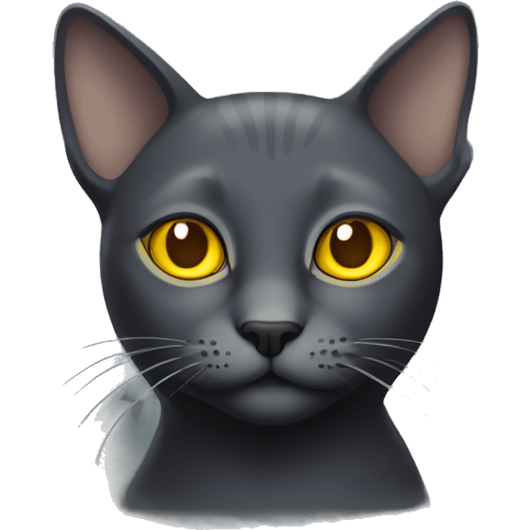 Solid dark grey cat with yellow eyes and a messed up ear emoji