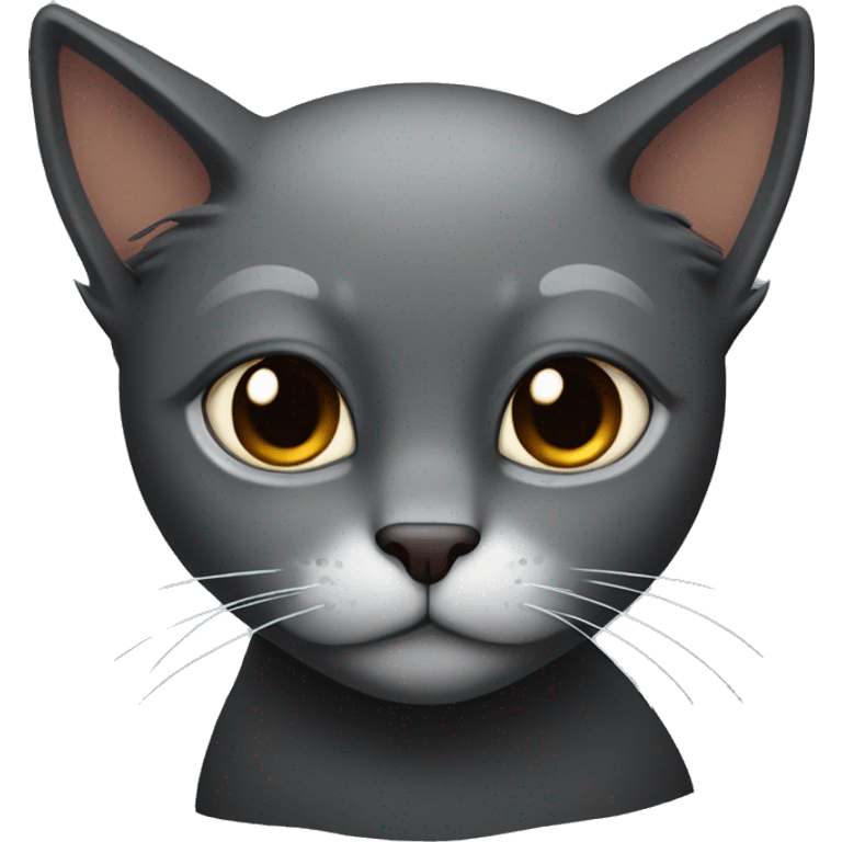 black cat with brown eyes and a broken tail emoji