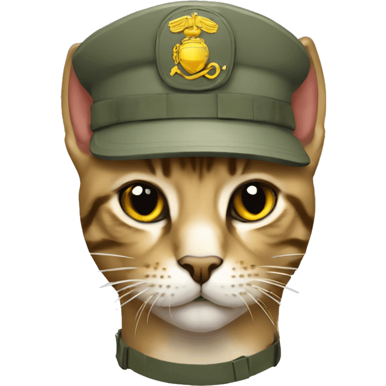 military cat Ukrainian marines emoji