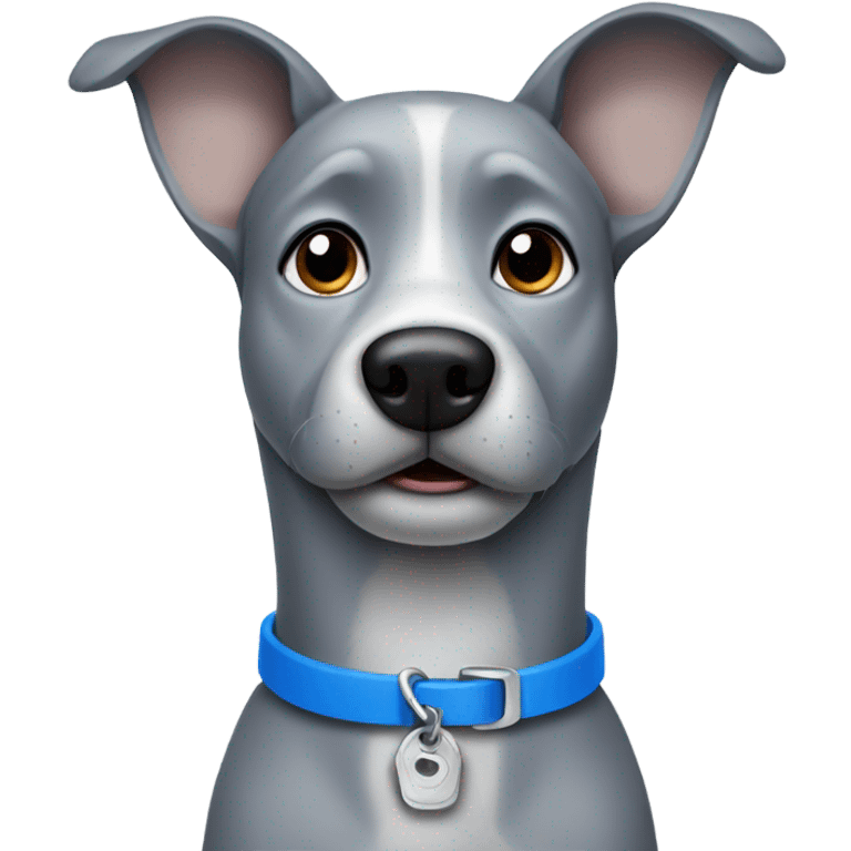 Grey dog with blue collar emoji