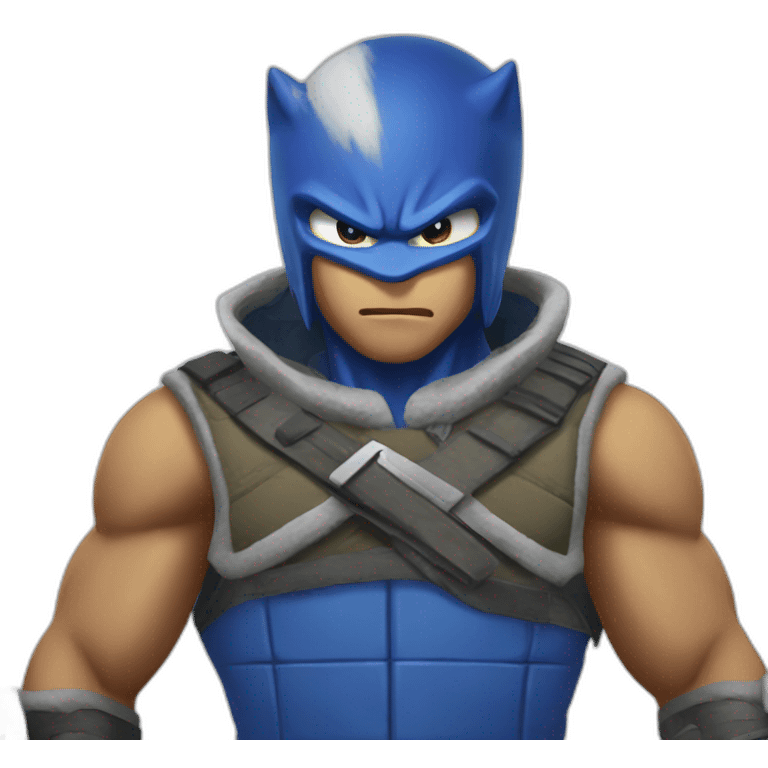 Sub-zero fighting Sonic emoji