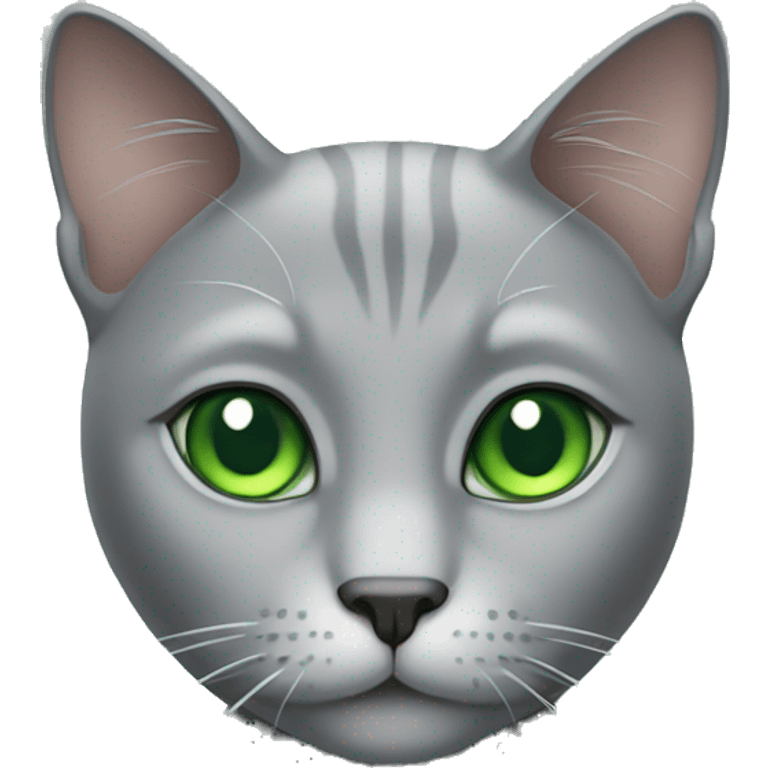 Gray cat with green eyes  emoji