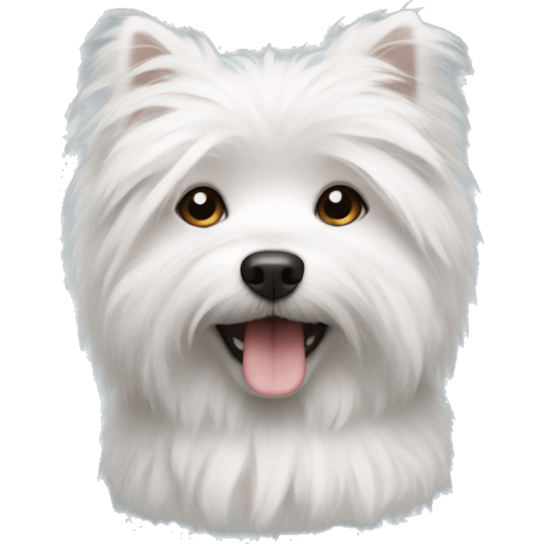 white fluffy small dog  emoji