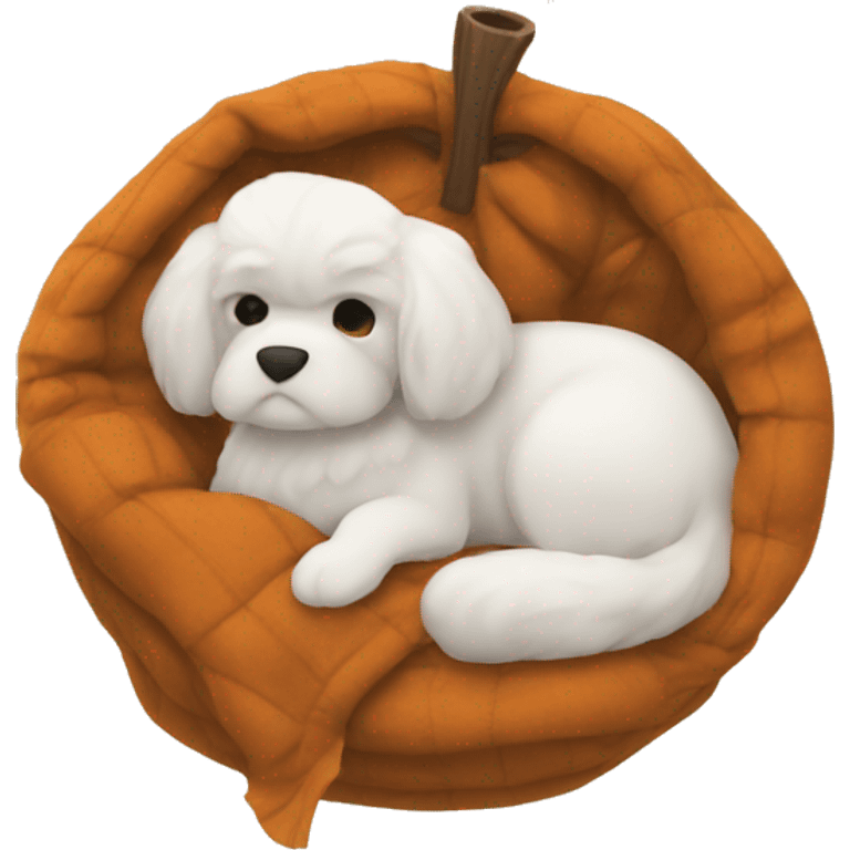 Fall cozy  emoji