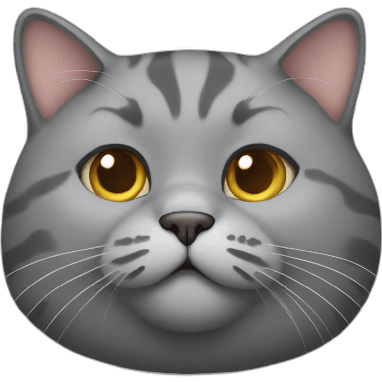 Fat gray cat emoji