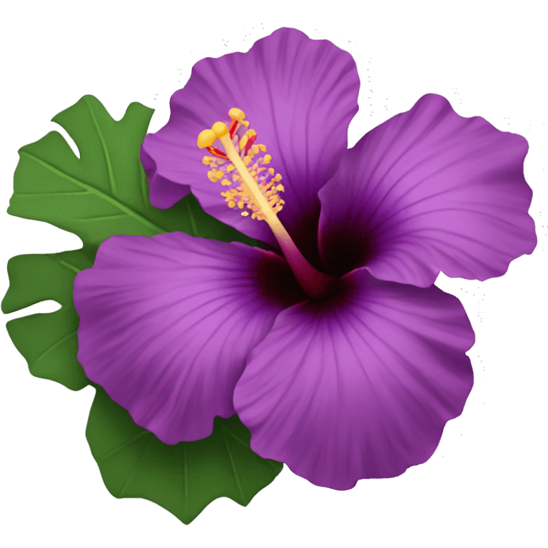 Purple hibiscus flowe emoji