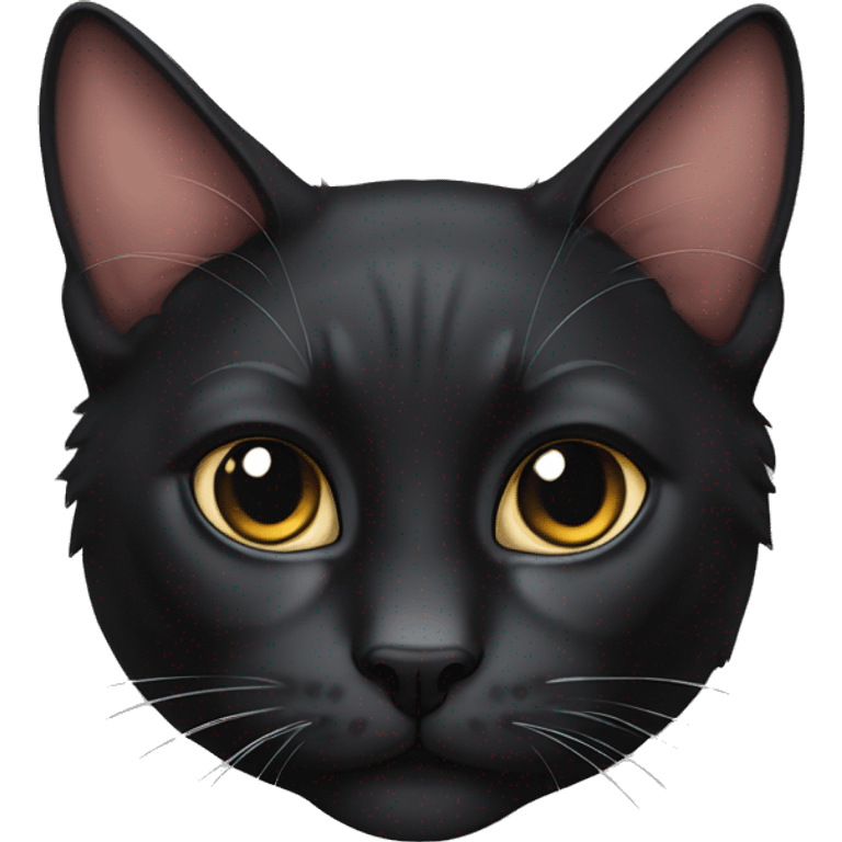 black pursian cat emoji