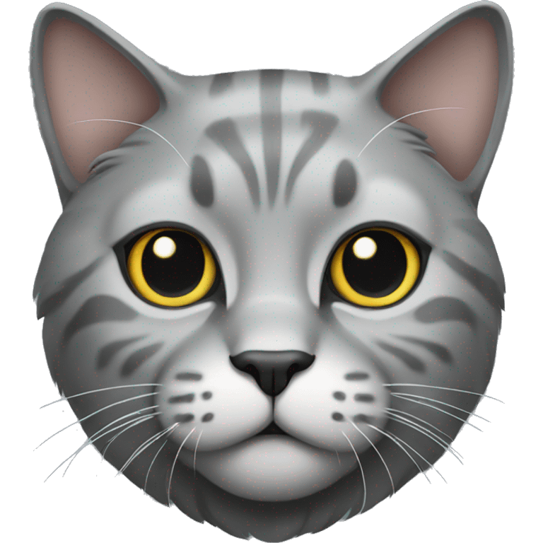 big scottish cat gray emoji