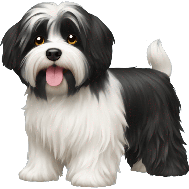 Black havanese with bowl emoji