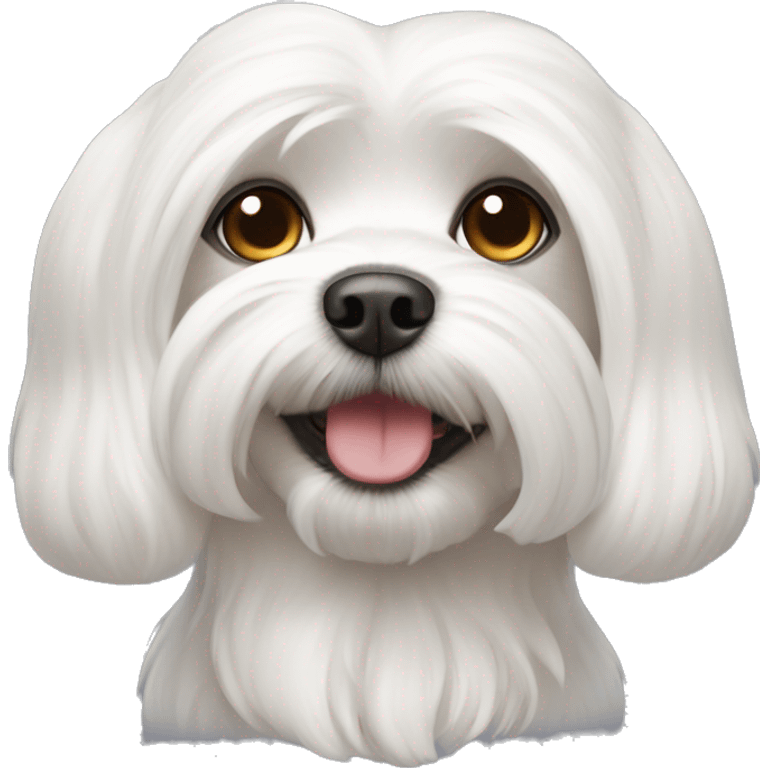 Maltese dogs  emoji