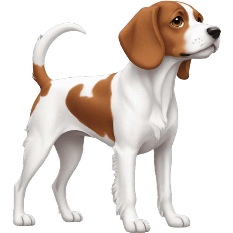 Brittany Dog Breed Full Body emoji