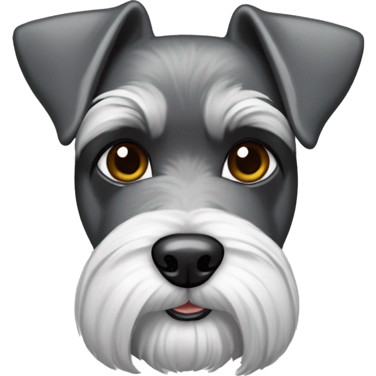 Schnauzer dog with brown eyes, super pointed earas and a plaque in its neck, in bone form that says HUMA emoji