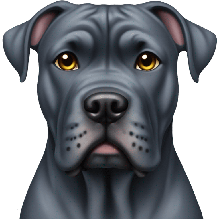 Blue brindle cane corso with cropped ears emoji