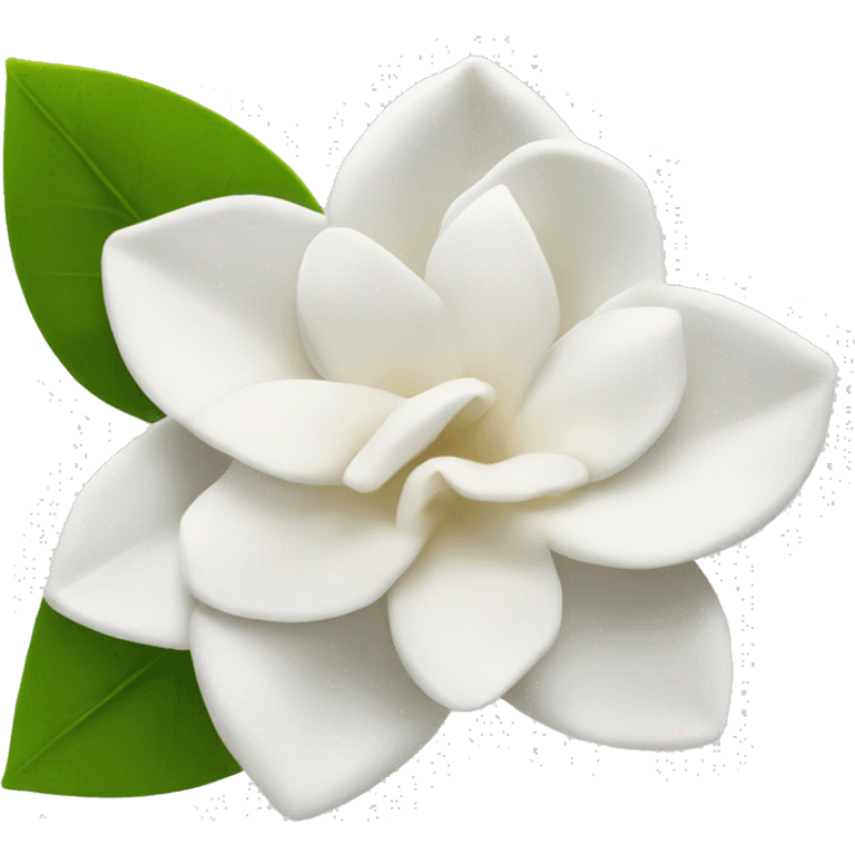 Gardenia flower  emoji