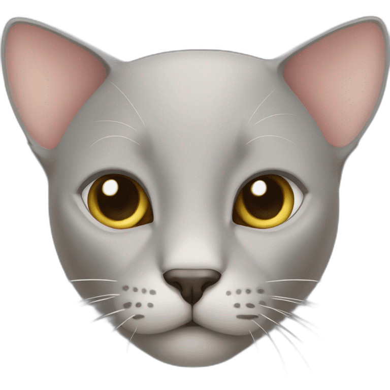 grey bald cat with big ears emoji