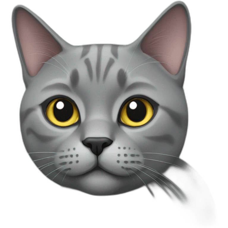 Grey british cat emoji