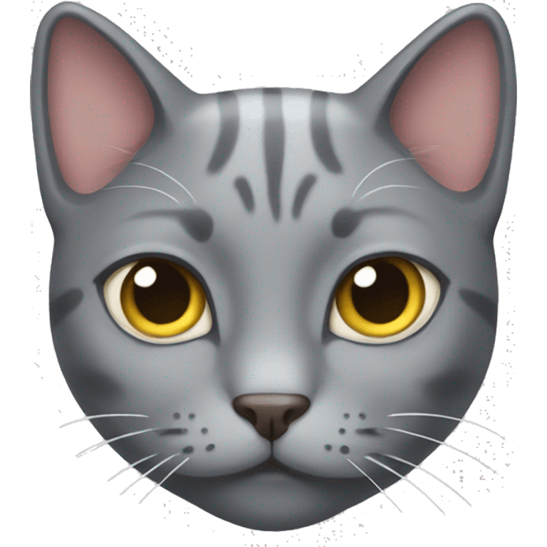 gray cat with heats in eyes  emoji