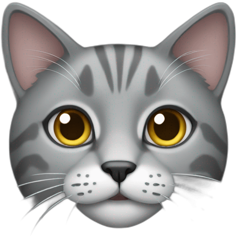 graycat emoji