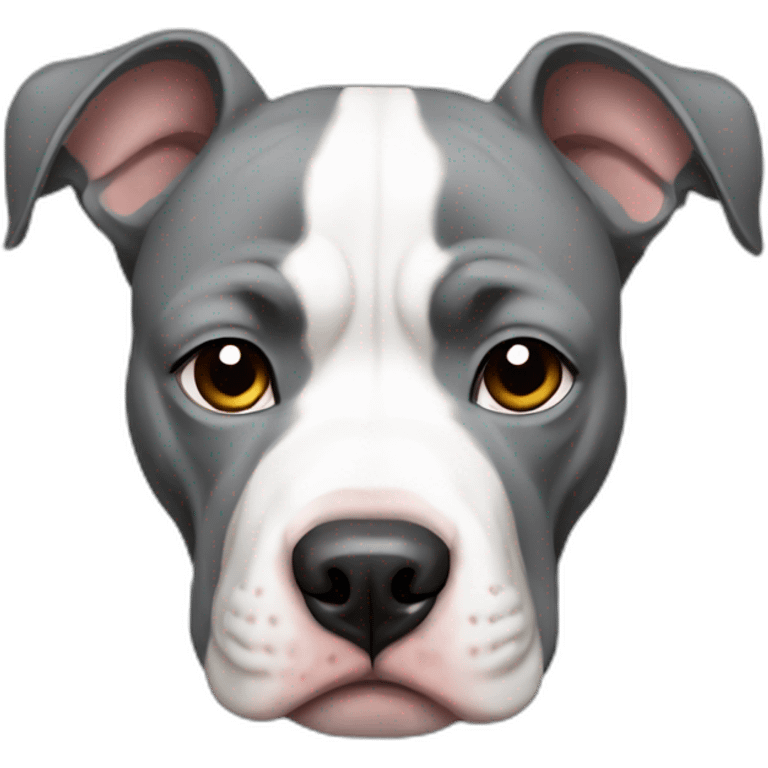 Sad and tearing grey and white Pitbull emoji