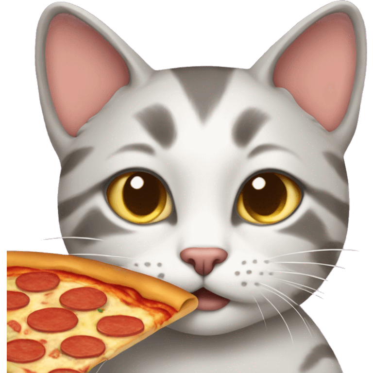 Cat with pizza emoji