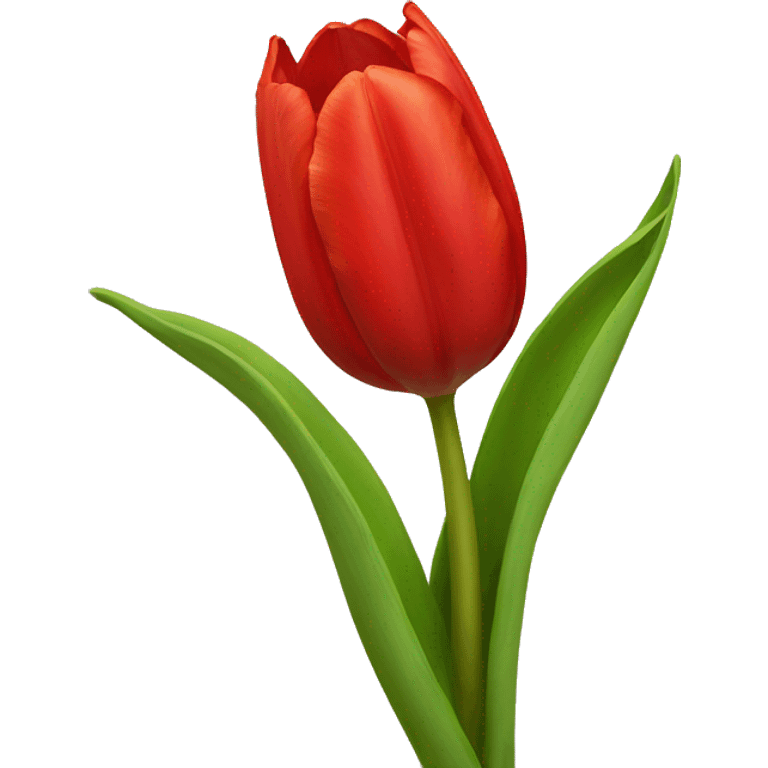 Red Tulip emoji