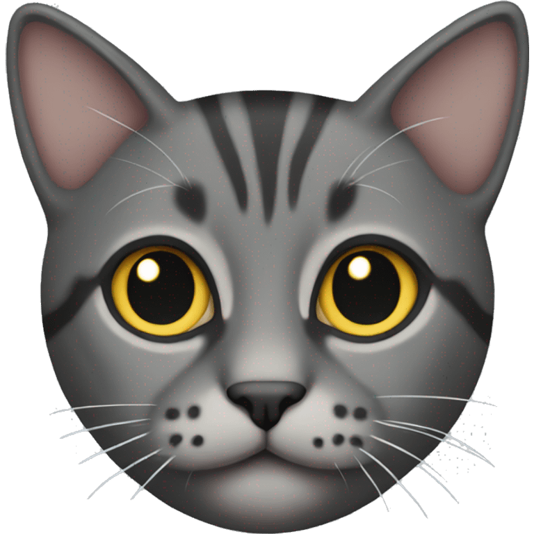 dark grey tabby cat emoji