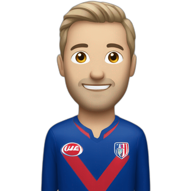 Stade Malherbe de Caen fan emoji